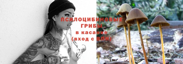 мяу мяу мука Покачи