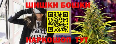 стафф Кингисепп