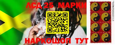 стафф Кингисепп