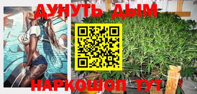 стафф Кингисепп