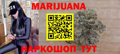 стафф Кингисепп