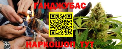 стафф Кингисепп