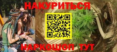 стафф Кингисепп