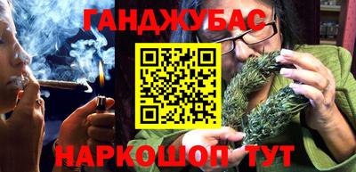 стафф Кингисепп