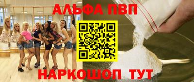 стафф Кингисепп