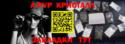 стафф Кингисепп