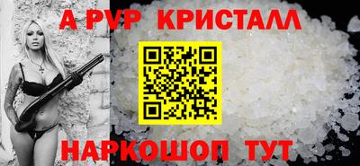 стафф Кингисепп
