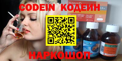 стафф Кингисепп