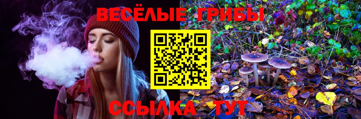 купить  сайты  Галлюциногенные грибы прущие грибы  Вход с VPN  Галлюциногенные грибы MAGIC MUSHROOMS  Саянск 